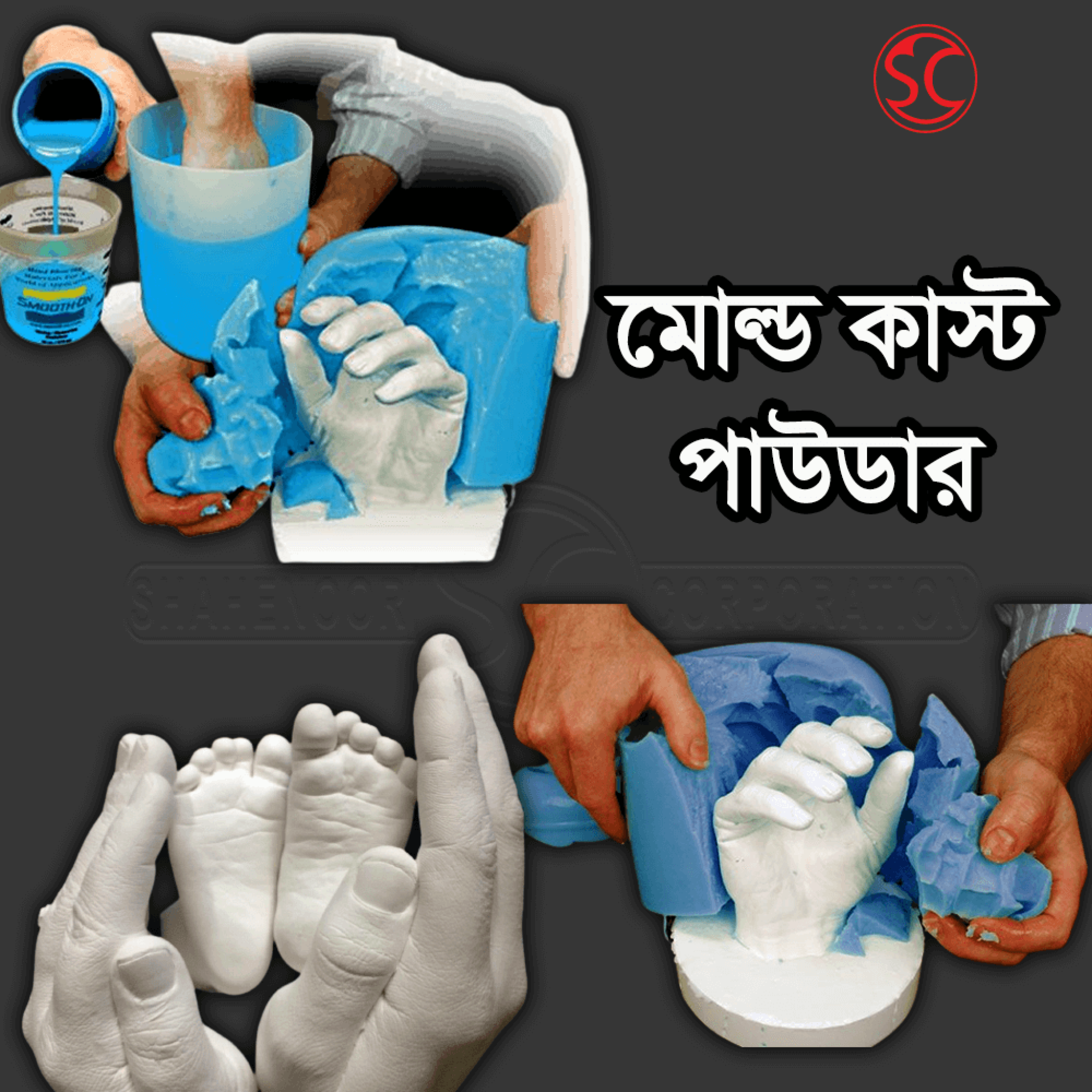 Mold Cast Powder - Shahenoor Corporation | scbd